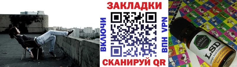 Виды наркотиков купить Каргополь A-PVP  Каннабис  Экстази  Героин  Cocaine  Псилоцибиновые грибы 