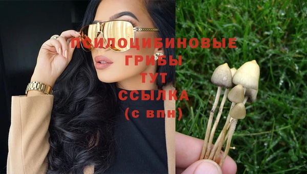 гашик Абдулино