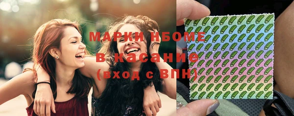 стафф Алексин