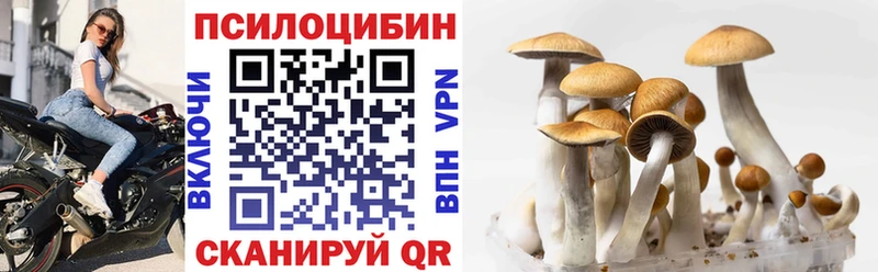 блэк спрут зеркало  где продают   Каргополь  Галлюциногенные грибы Psilocybe 